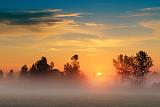 Misty Sunrise_14100